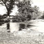 A Mountain Stream, Asheville NC in 1905 vintage print
