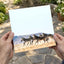 Haartmans Mountain Zebra, Africa Photo Print Wall Decor