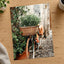 Flower Basket on Bicycle in Rome by Anita Austvika Photo Print Wall Decor