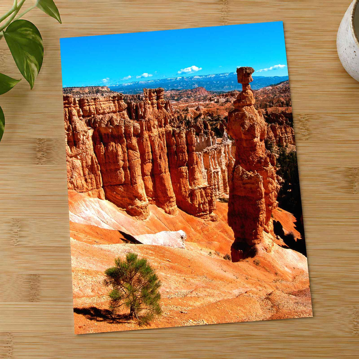 Bryce Canyon in Utah Photo Print Wall Decor