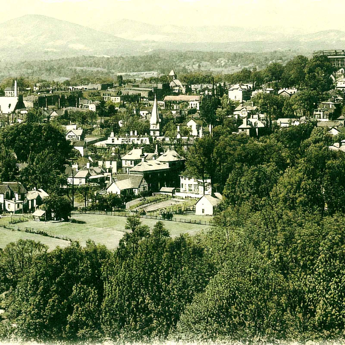 Bird's Eye View, Asheville, NC in 1905 vintage print