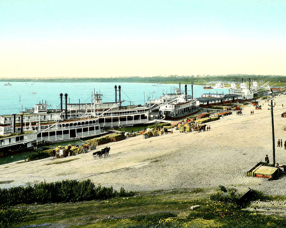 Memphis Wharf, Memphis, TN in 1905 vintage print