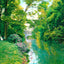Wissahickon Creek, Philadelphia PA in 1906 art print