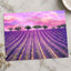 Beautiful Lavender Field in France Photo Print Wall Decor