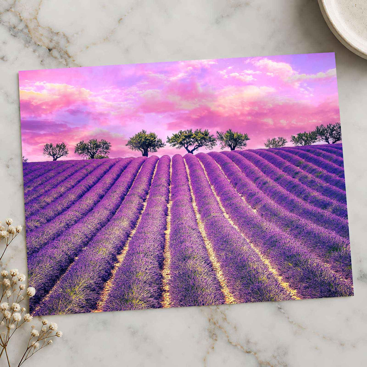 Beautiful Lavender Field in France Photo Print Wall Decor