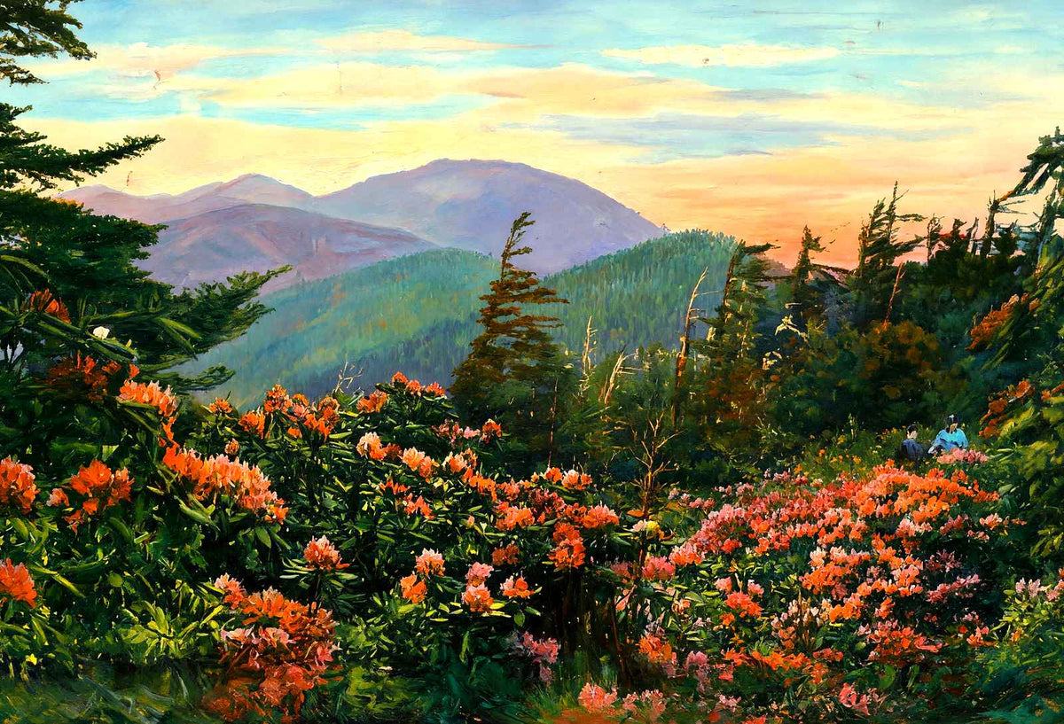Mt Mitchell, Asheville, NC in 1906 art print