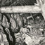 Randolph Shaft, Gold Hill, NC in 1905 photo print