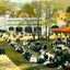Ingersolls Luna Park, Pittsburgh PA in 1906 art print