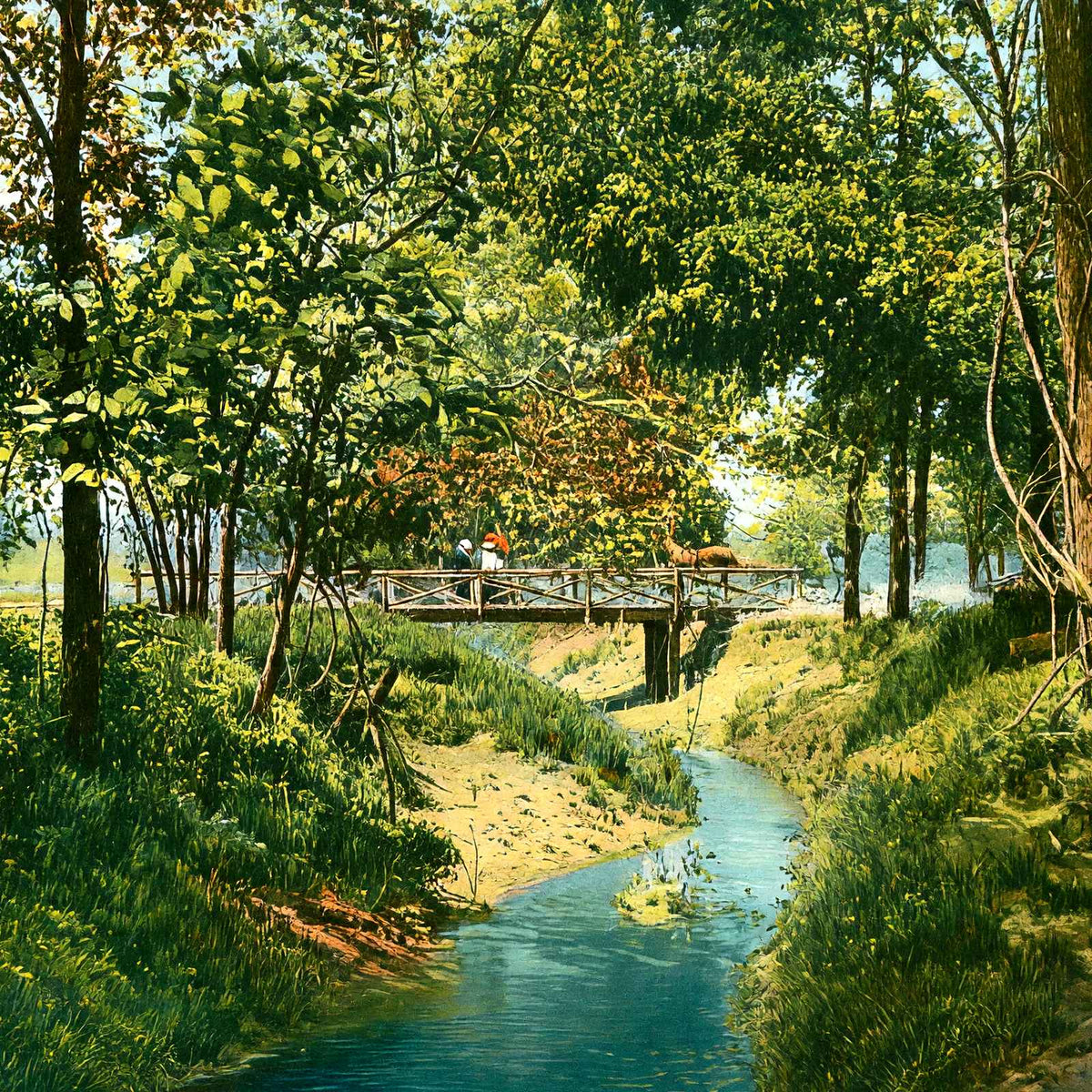 Overton Park, Memphis, TN in 1905 vintage print
