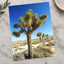 Joshua National Park Photo Print Wall Decor