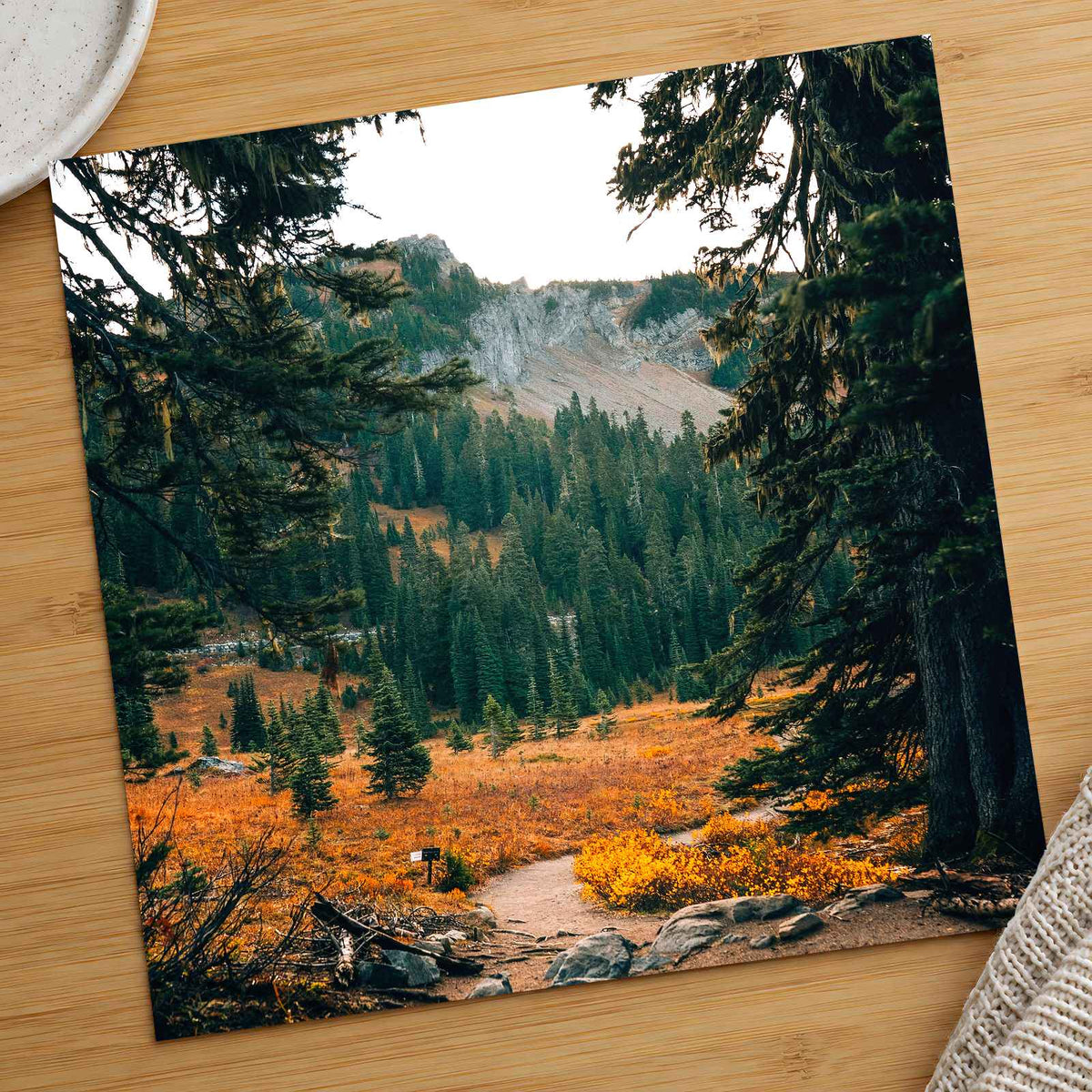 Mount Rainier National Park in Washington by Josh Hild Photo Print Wall Decor