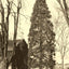 Arbor Vitae at St. Luke's, Salisbury NC 1905 photo print