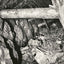 Randolph Shaft, Gold Hill, NC in 1905 photo print