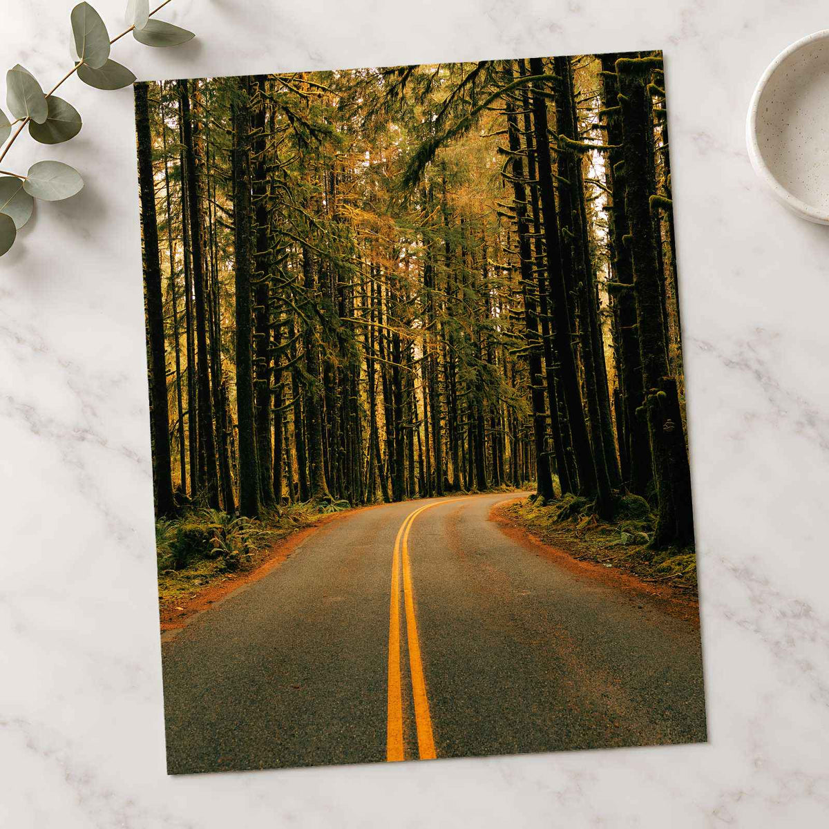 Hoh Rainforest Road, Olympic National Park by Hans Photo Print Wall Decor
