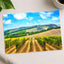 Vineyard in Tuscany, Italy Photo Print Wall Decor