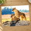 Two Lionesses in Savanna Photo Print Wall Decor