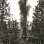 Torpedoing an Oil Well, Bradford PA in 1904 vintage photo print