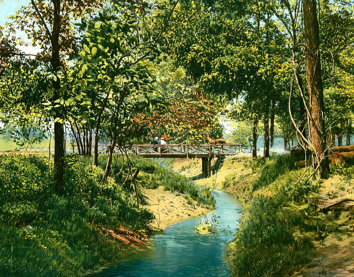Overton Park, Memphis, TN in 1905 vintage print