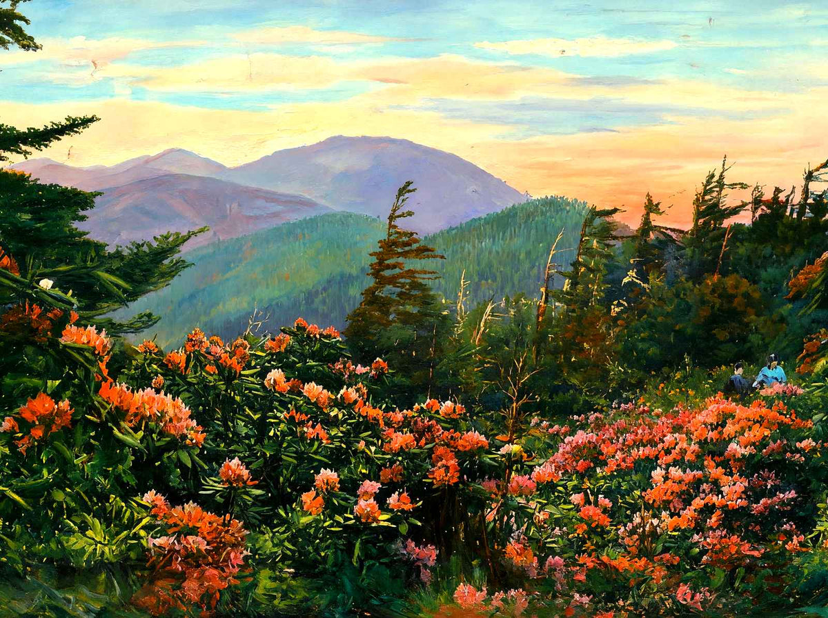 Mt Mitchell, Asheville, NC in 1906 art print