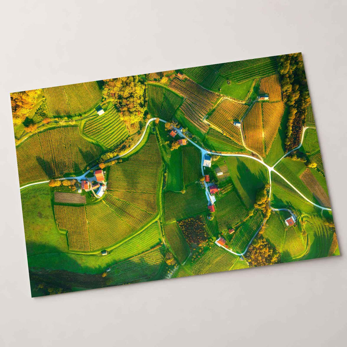 Vineyards from Above by Ales Krivec Photo Print Wall Decor