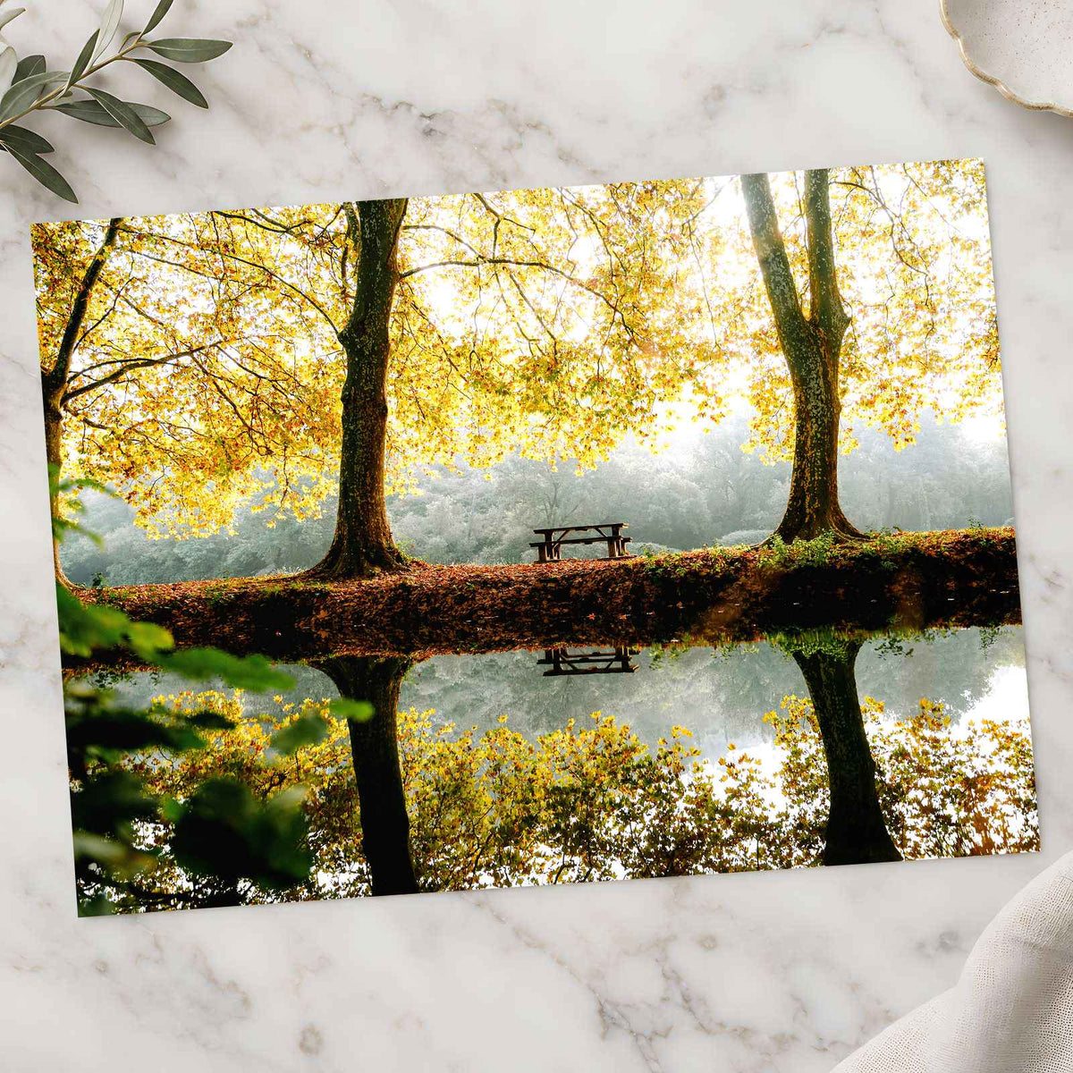 Trees, Lake and Bench on Reflecting Water by Mathieu Odin Photo Print Wall Decor