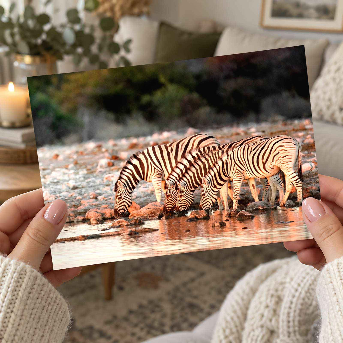 Zebras Drinking in Namibia Photo Print Wall Decor