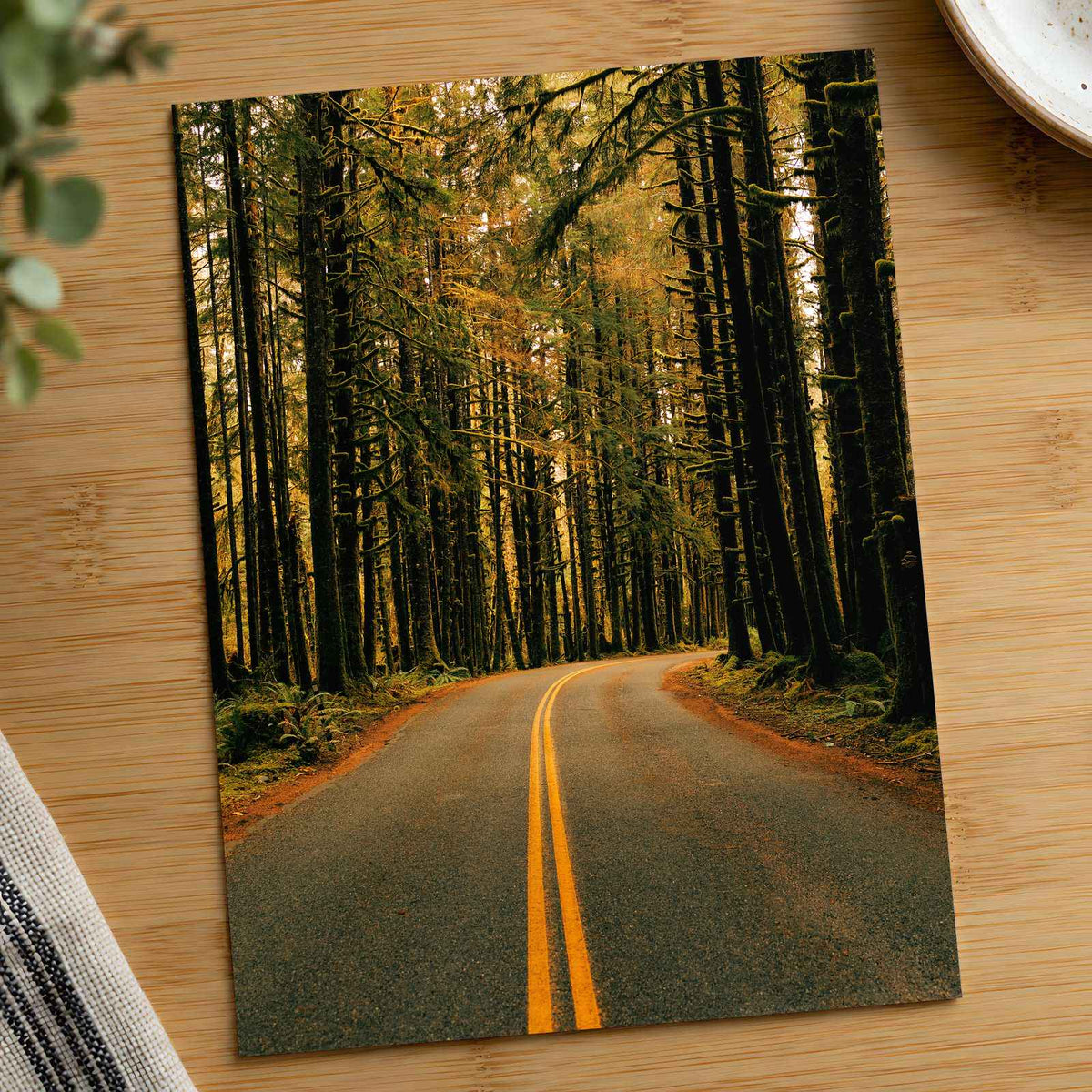 Hoh Rainforest Road, Olympic National Park by Hans Photo Print Wall Decor