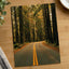 Hoh Rainforest Road, Olympic National Park by Hans Photo Print Wall Decor