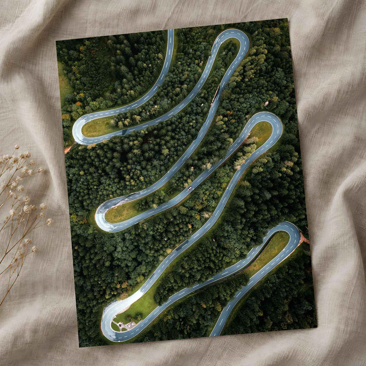 Curving Road from Above by Dejan Zakic Photo Print Wall Decor