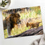 Male Lion and Cub in Africa Photo Print Wall Decor