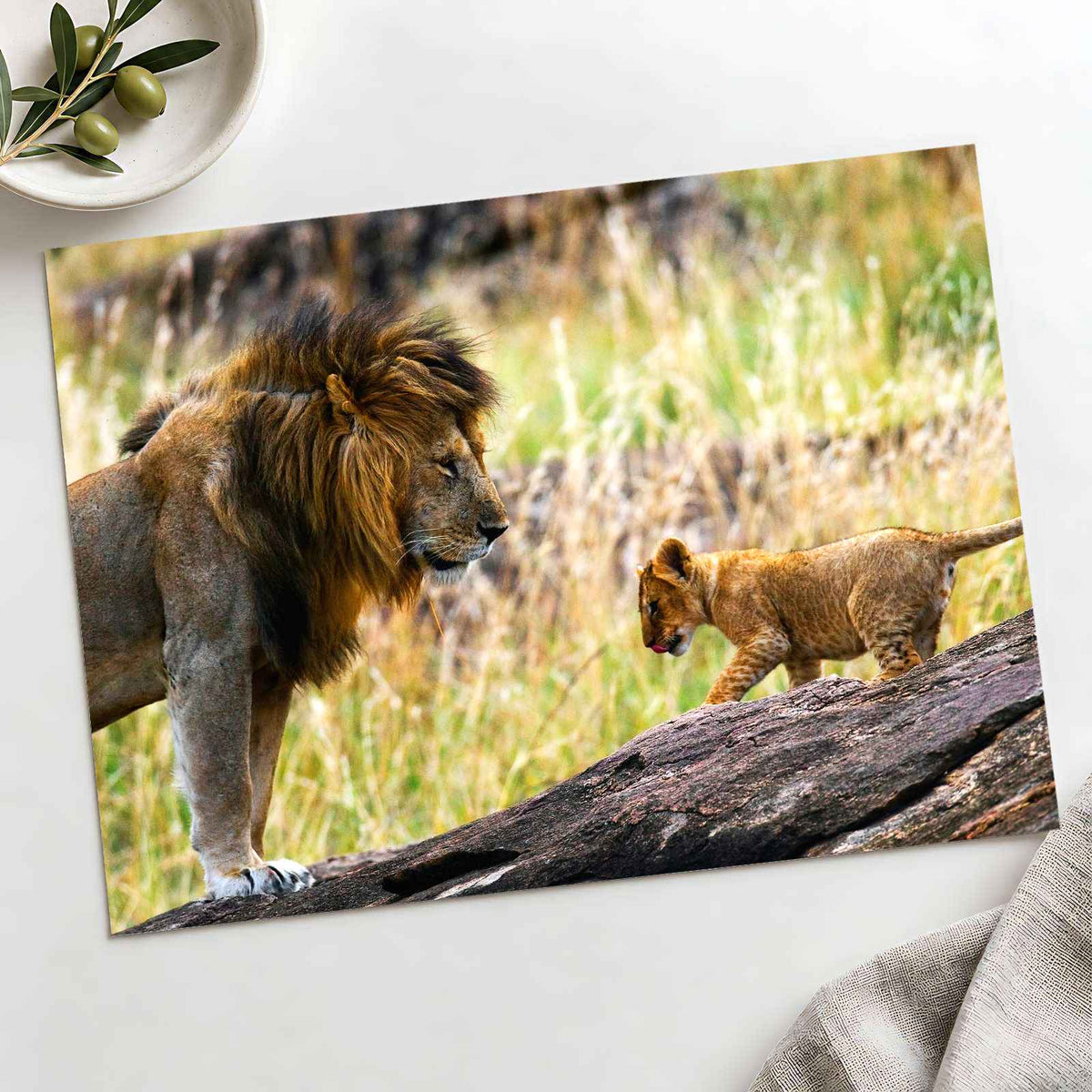 Male Lion and Cub in Africa Photo Print Wall Decor