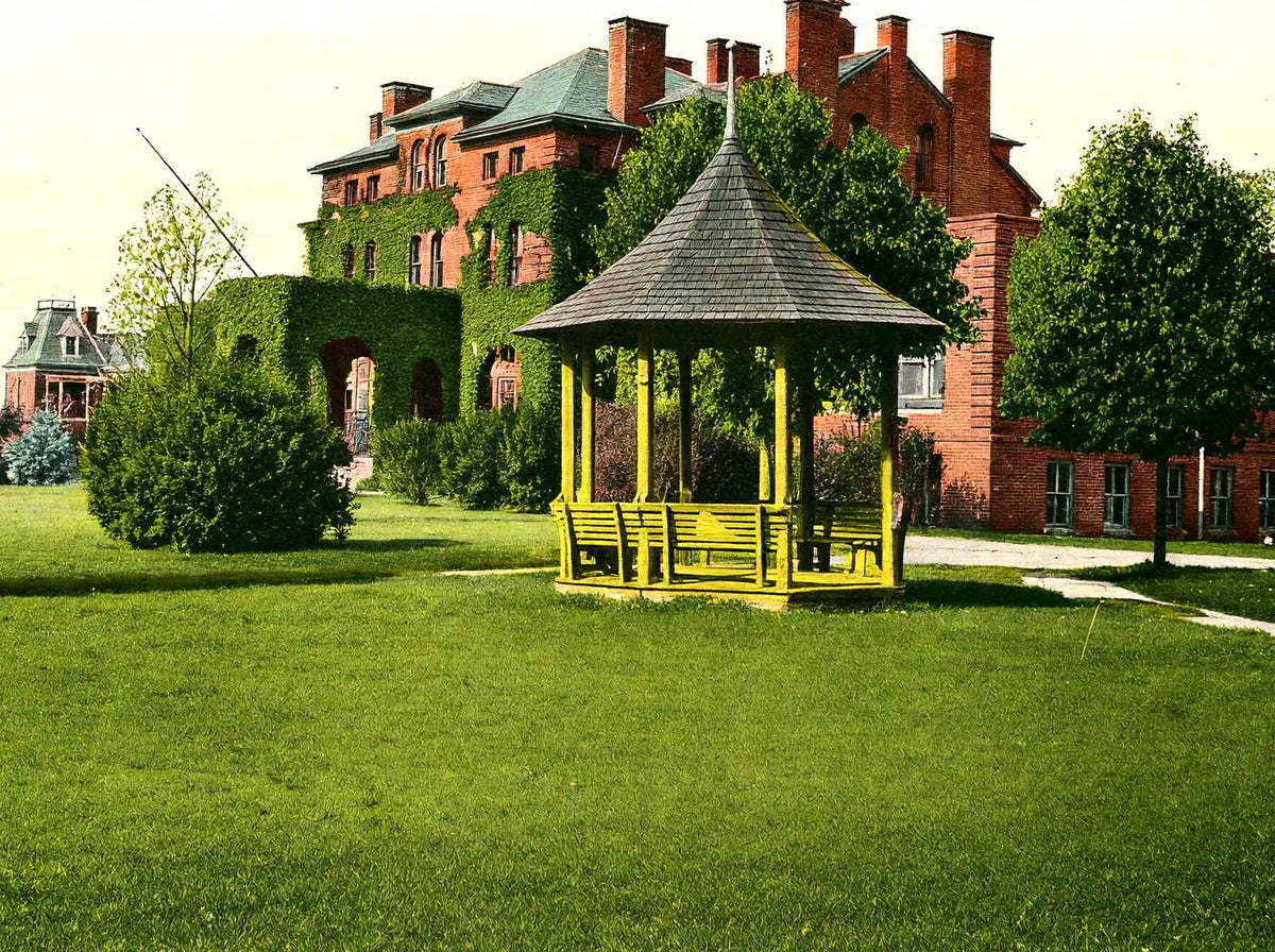 Agricultural & Mechanical College, Raleigh vintage print