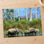 Herd of Elephants in India Photo Print Wall Decor