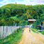 Chickasaw Bluff, Vicksburg, MS in 1906 painting