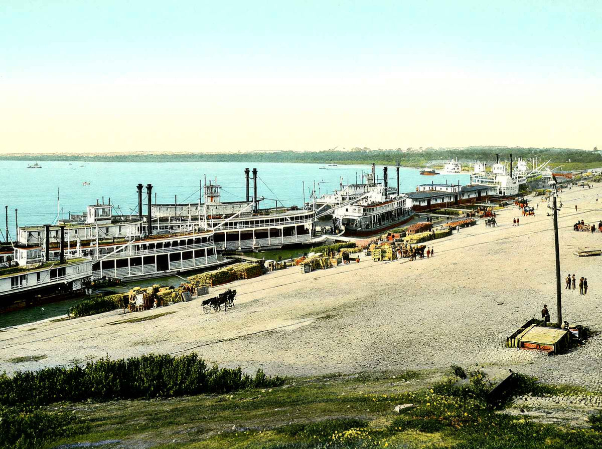 Memphis Wharf, Memphis, TN in 1905 vintage print