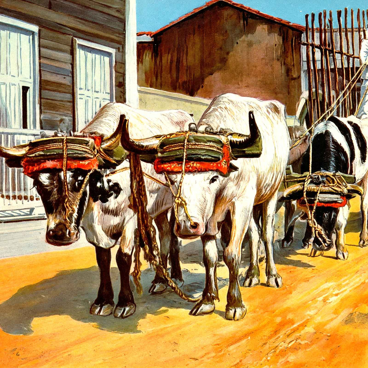 Ox Cart, Cuba in 1923 vintage print