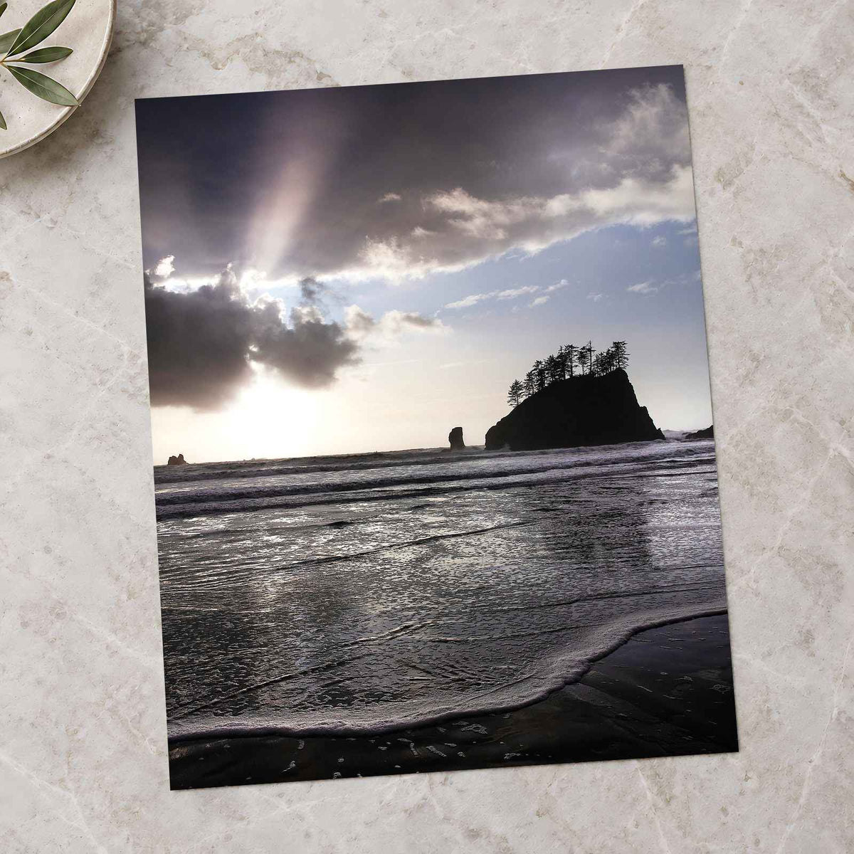 Beach in Olympic National Park by Joshua Earle Photo Print Wall Decor