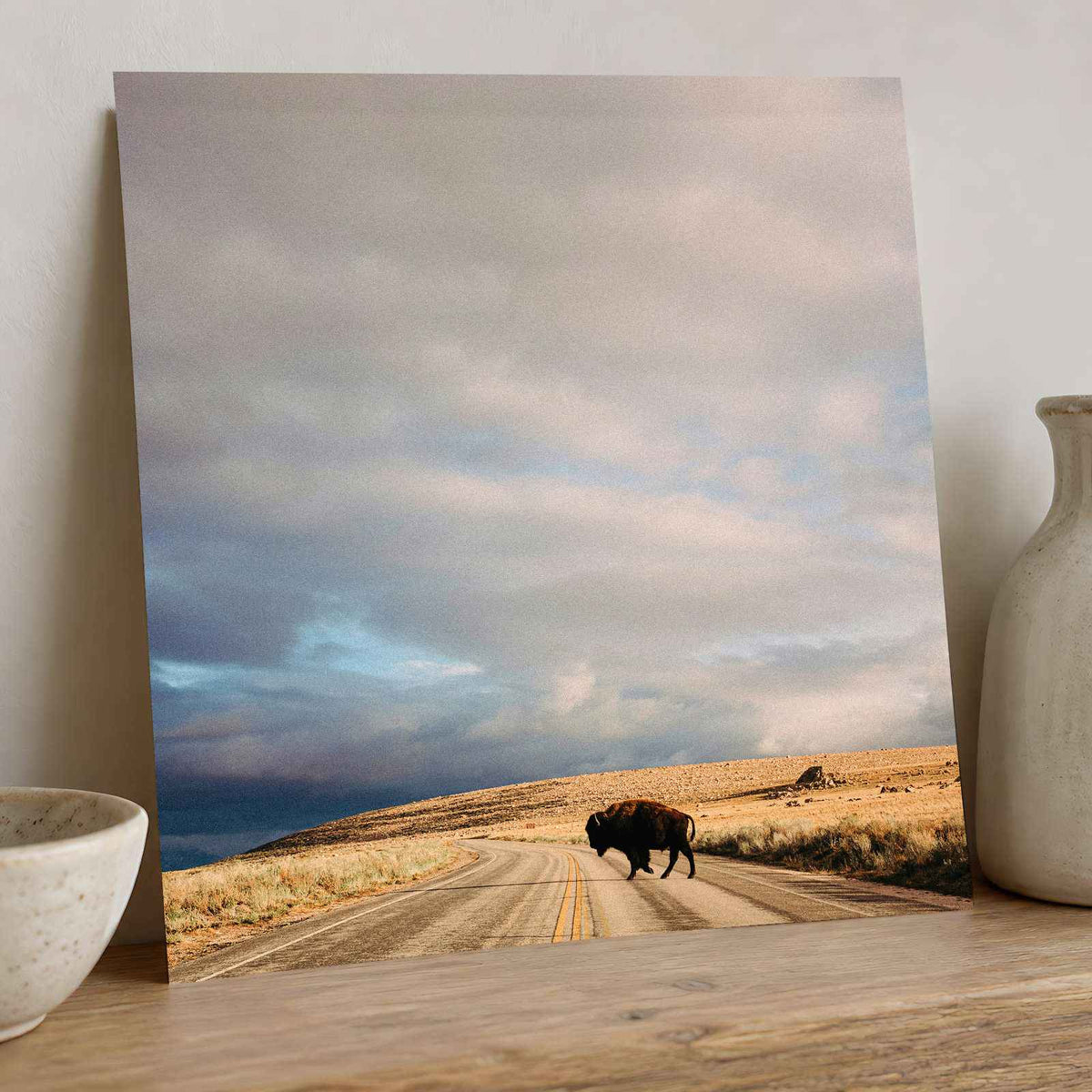 Buffalo Bison Crossing Road by Colin + Meg Photo Print Wall Decor
