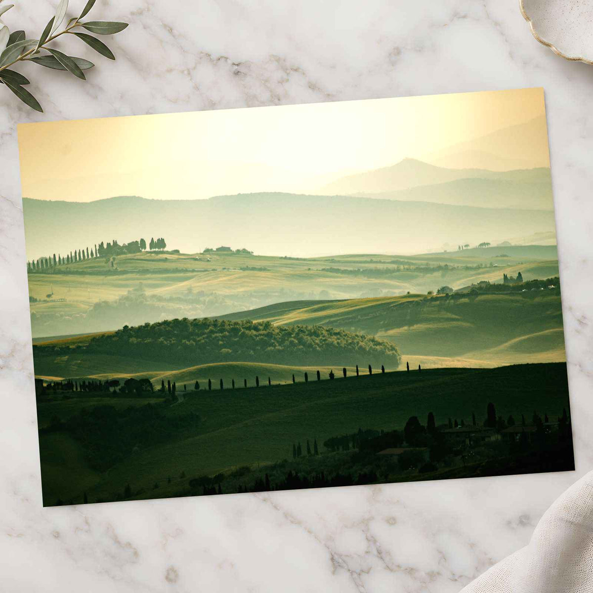 Vineyards in Tuscany, Italy by Sylwia Bartyzel Photo Print Wall Decor