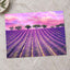 Beautiful Lavender Field in France Photo Print Wall Decor