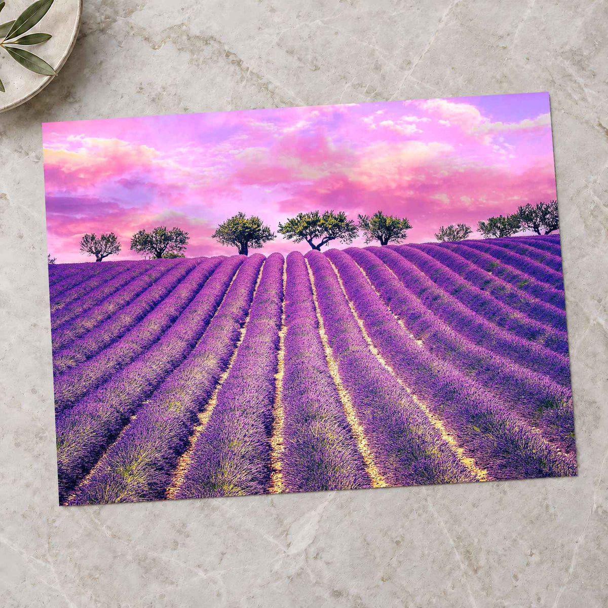 Beautiful Lavender Field in France Photo Print Wall Decor