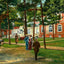 Laurel in the Pines, Lakewood, NJ in 1905 art print