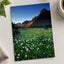 Rocky Mountains National Park Flowers Photo Print Wall Decor