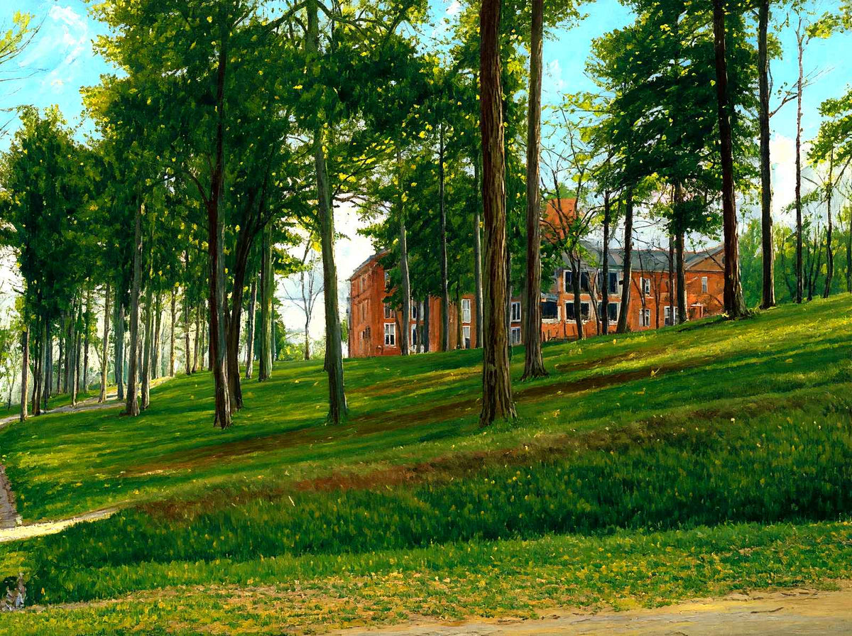 Female College, Greensboro, NC in 1906 art print