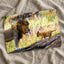 Male Lion and Cub in Africa Photo Print Wall Decor