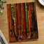 Sequoia National Park in California Photo Print Wall Decor