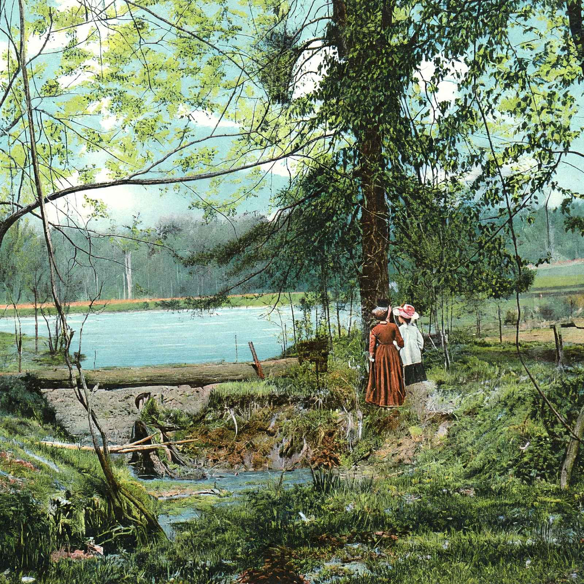 Swan Lake, Overton Park, Memphis, TN in 1905 vintage print