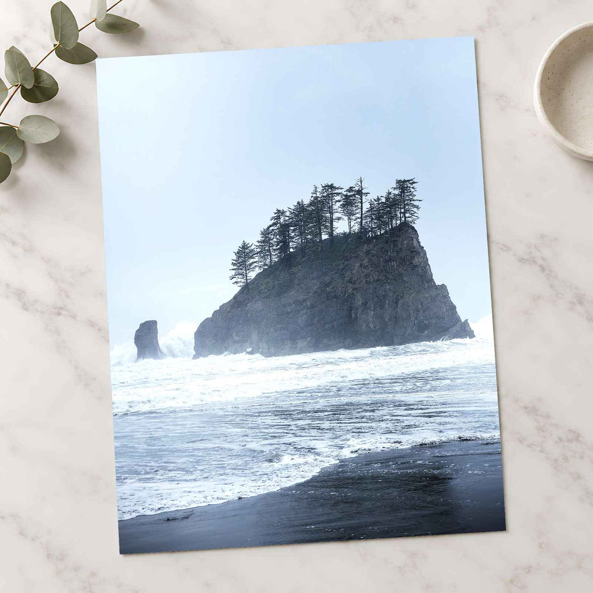 Treed Rock in Ocean by Joshua Earle Photo Print Wall Decor