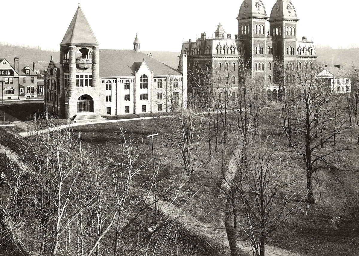 Washington & Jefferson College, Washington PA photo print