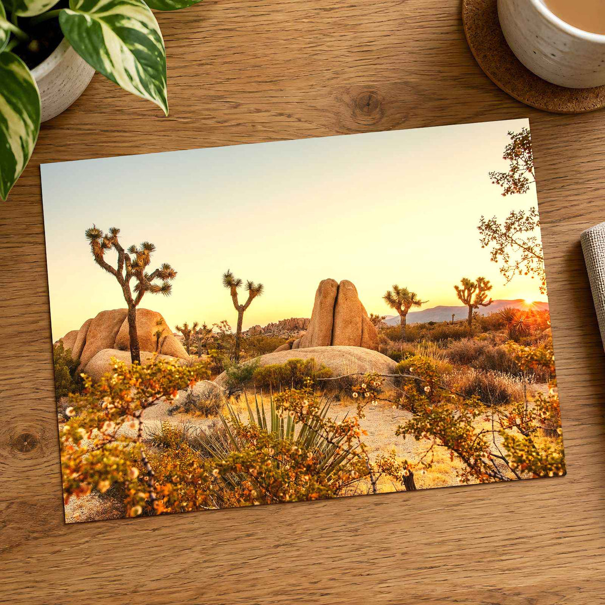 Joshua Tree National Park in California by Joshua Earle Photo Print Wall Decor